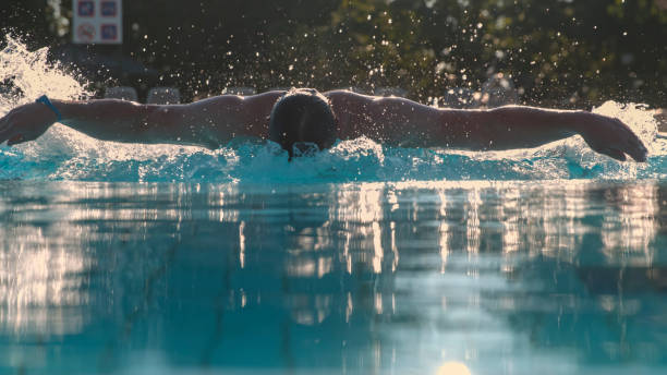 istock Male Swimmer Excelling at Butterfly Stroke in Sparkling Pool Waters 1917012089