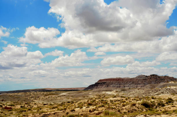 istock Rugged and Desolate Landscape Petrified Forest Arizona 1917020677