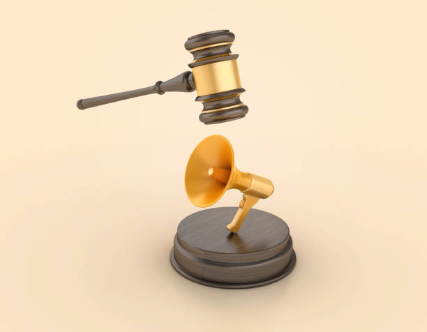 Megaphone with Legal Gavel stock photo