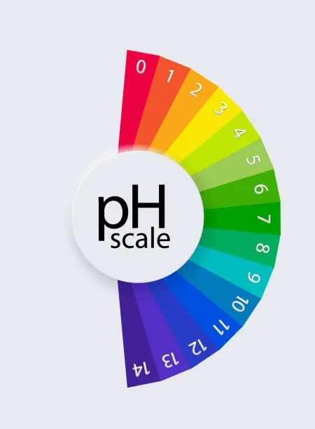 Vector illustration of pH scale chart for acid and alkaline solutions. Acid-base balance infographic. Vector