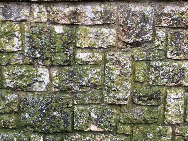 Saint-Jean-Cap Ferrat stone wall with moss and lichen
