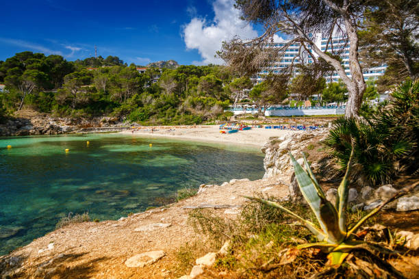 istock Sandy shores, pine trees and crystal-clear waters at La Font de Sa Cala beach 1917071736