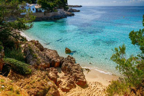 istock View of a small beach Cala Gat from the cliff above 1917071742