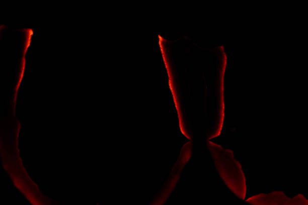istock burning paper, glowing edge of paper on a black background 1917099097