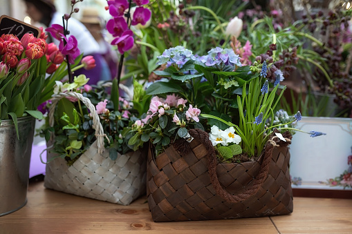 Baskets with a variety of spring flowers. Showcase of a flower shop.