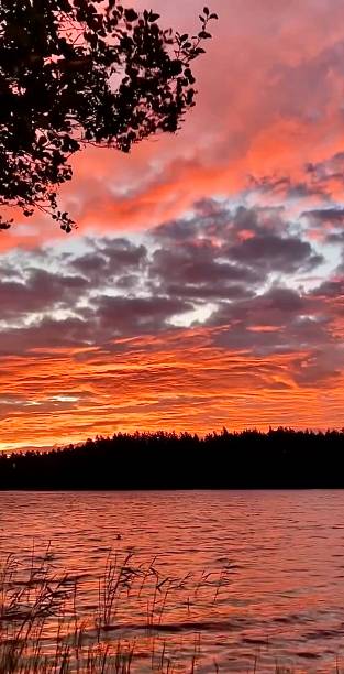 istock Sunset over the bay 1917118195