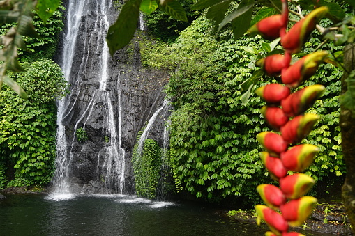 A beautiful waterfall in the jungle of Bali.