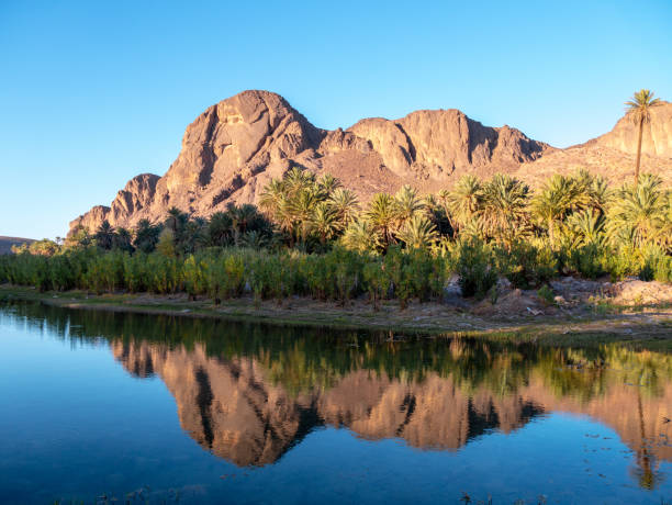 Fint Oasis near Ouarzazat
e, Morocco, minutes before sunset