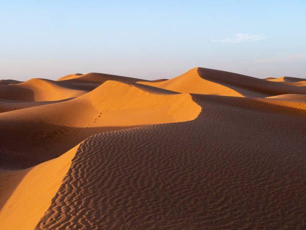 istock Dunes in Zagora province, Morocco, during sunset - Landscape 4 1917130921
