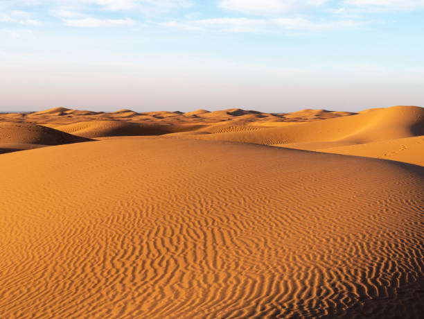 istock Dunes in Zagora province, Morocco, during sunset - Landscape 2 1917131483