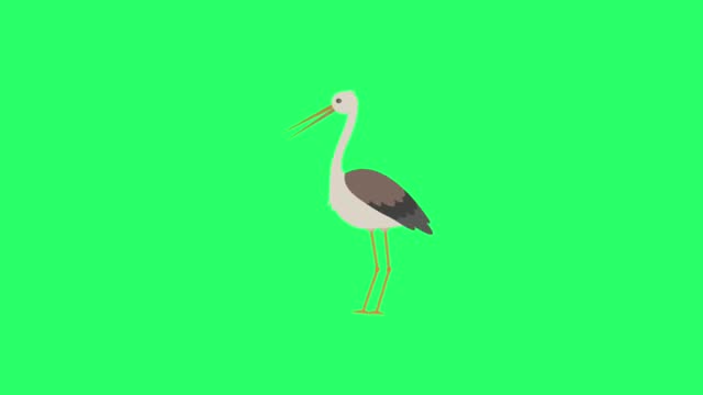Animation brown egret on green background.