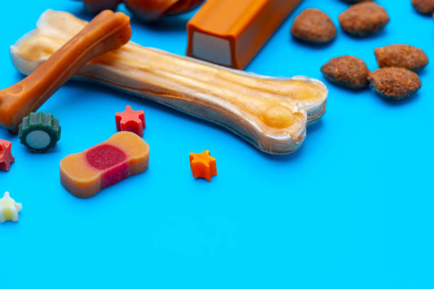 istock Pet snacks for dogs on blue background 1917156567