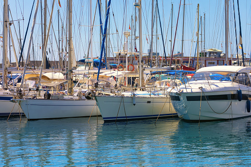 Boats and Yachts nestled in the harbor of a vibrant coastal city