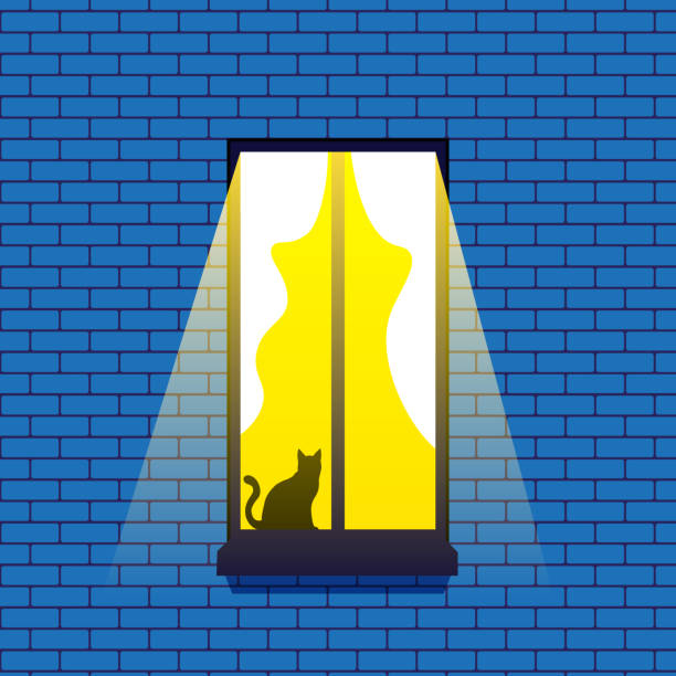 istock A brick wall with a window from which a cozy warm light pours in. On the windowsill sits a black cat 1917168777