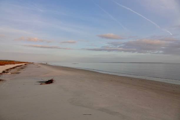 istock Fish Haul Beach Park Sunrise 1917173566