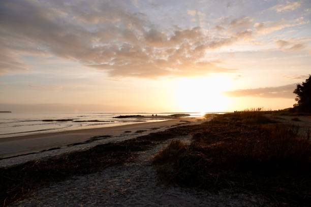 istock Fish Haul Beach Park Sunrise 1917173573
