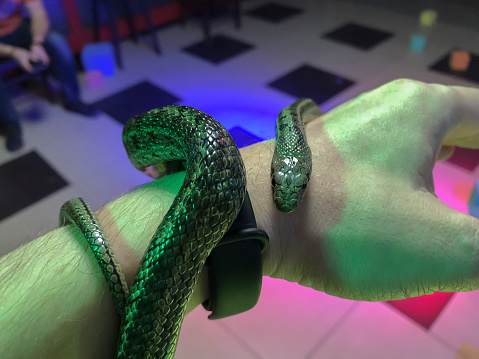 Snake on a human hand in a nightclub, closeup of photo