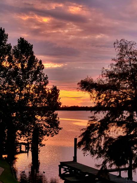 istock All the pink and purple sunrise. 1917179214