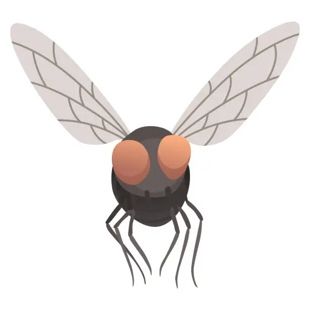 Vector illustration of Housefly insect icon. Wildlife symbol in cartoon style. Scary insect. Graphic design element. Entomology closeup color vector illustration isolated on white background