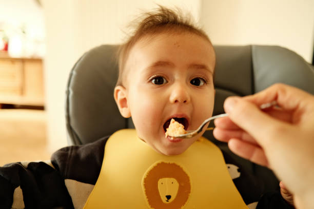 istock A cute baby is eating for lunch 1917188317