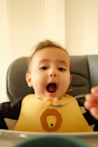 A cute baby is eating for lunch. His mum is feeding him at home.