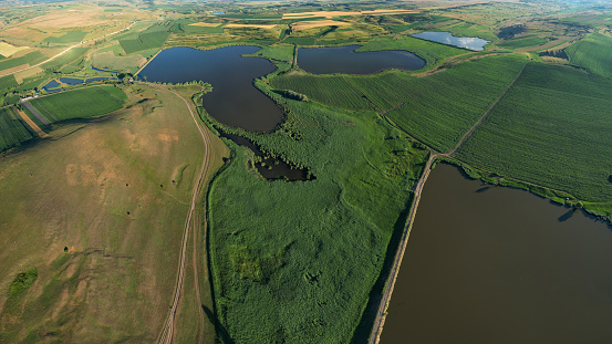 Aerial drone view above a natural reservation consisting of several lakes, ponds and swamp areas in the middle of agricultural fields. Mandra Reservation Transylvania, Romania.