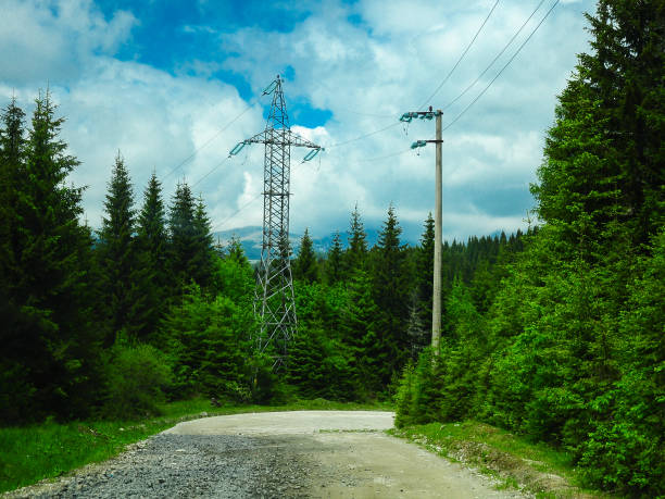 istock Electricity pylon in the forest 1917206118