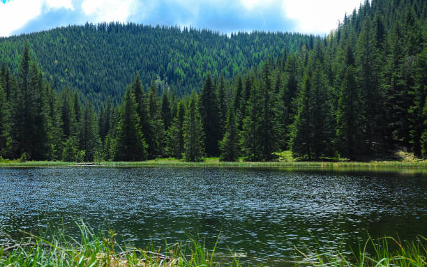istock Glacial lake in the forest 1917207687