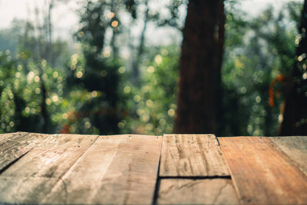 istock Rustic Wooden Table and bokeh nature 1917216094