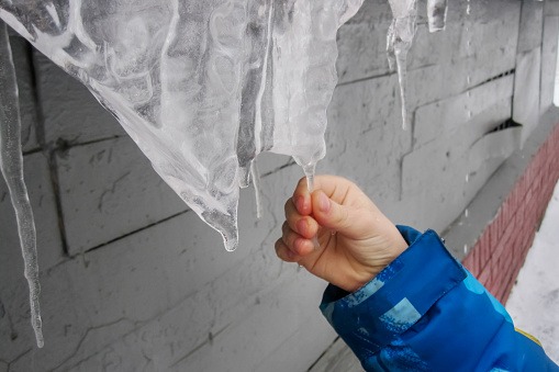 Child's hand touching melting icicle. beginning of spring, thaw. Exploring properties of nature.
