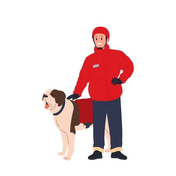 ilustrações, clipart, desenhos animados e ícones de bravo homem de resgate de inverno com cão usando assistente de arnês de pé pronto para ajudar isolado no branco - dog first aid first aid kit winter