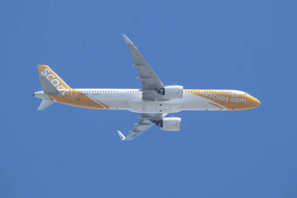 220+ Tiger Airways Stock Photos, Pictures & Royalty-Free Images