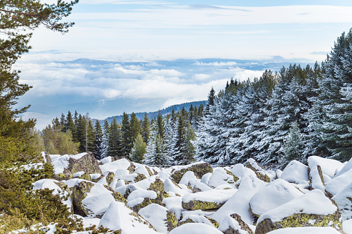 Beautiful Winter Mountain Landscape .Vitosha Mountain, Bulgaria