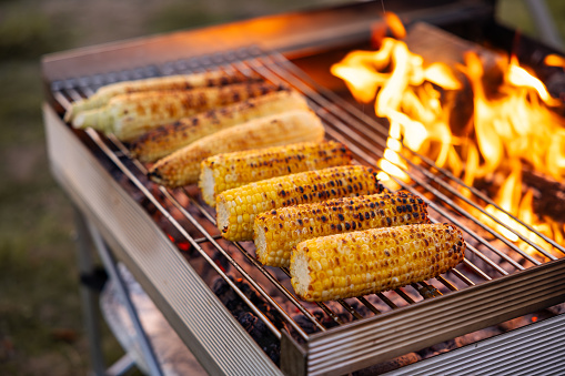 As the sun bids farewell, a mesmerizing scene unfolds with ears of corn roasting on the grill next to a robust fire. The flames dance gracefully, casting a warm glow on the culinary spectacle, capturing the essence of a dusk barbecue