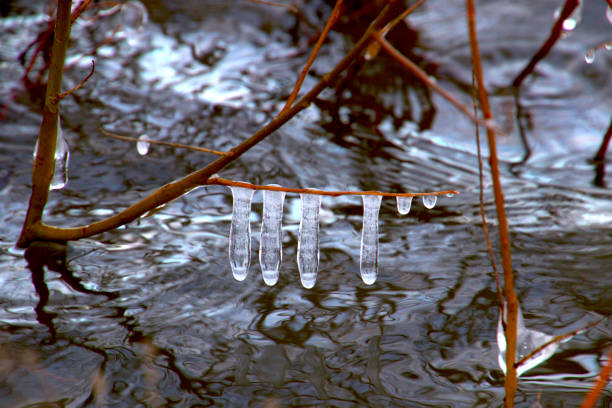 Four long frosty water drops before the lake will be frozen