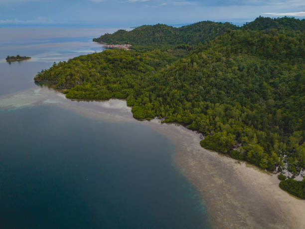 istock Mangrove Forest ini Hanunu Village in West Seram, Maluku 1917335957