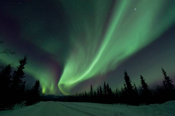 istock Yukon Northern Lights 1917349435