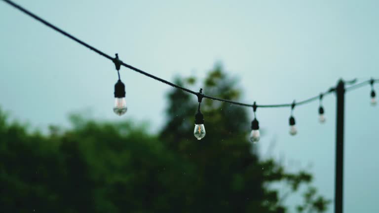 Garland of lamp bulbs outside. Decorative string light. Countryside, trees stock video