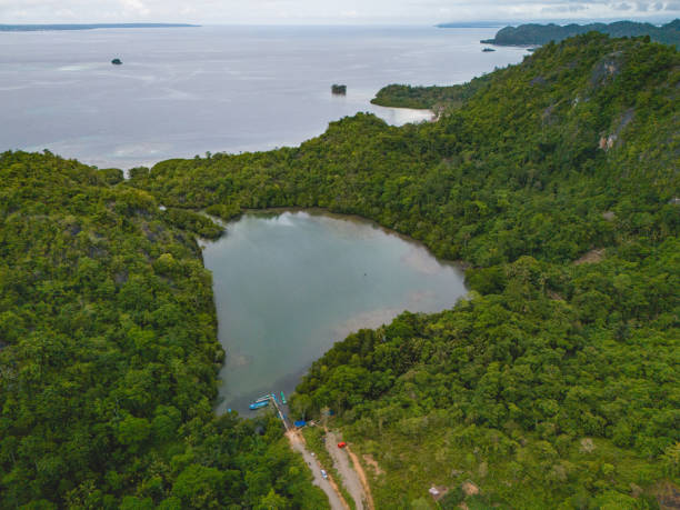 istock Halong Bay in Allang Asaude, West Seram Regency, Maluku 1917355287