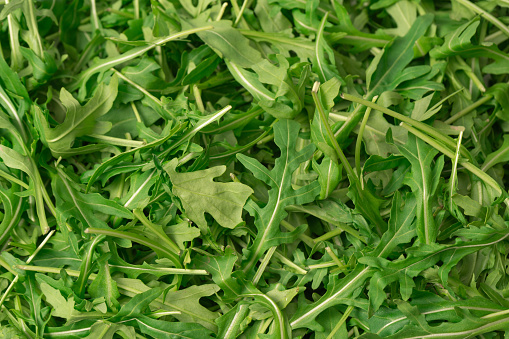 Fresh leaves of arugula as a background. Top view. Healthy food.