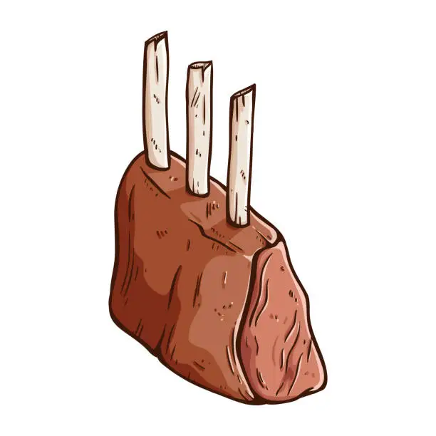 Vector illustration of hand draw rib steak vector illustration