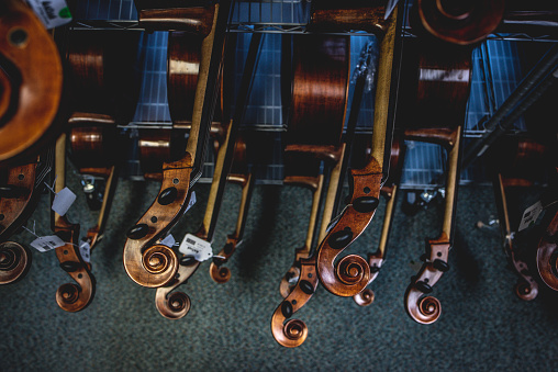 A close-up shot of an assortment of violins suspended from hooks in a wall