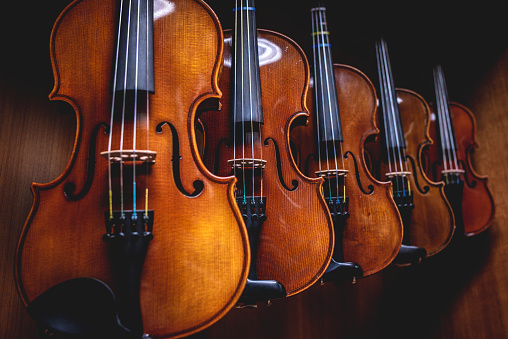 A row of violins arranged neatly on a stand in a room.
