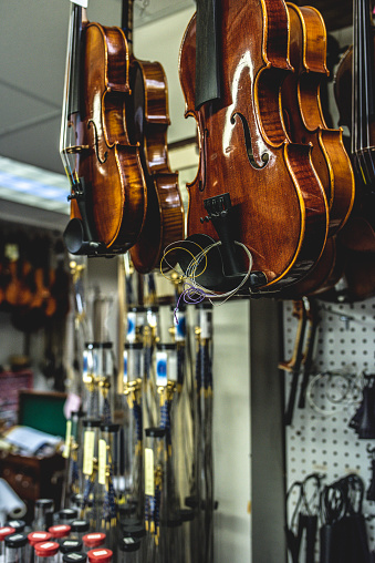 An array of violins suspended from the ceiling in a music store
