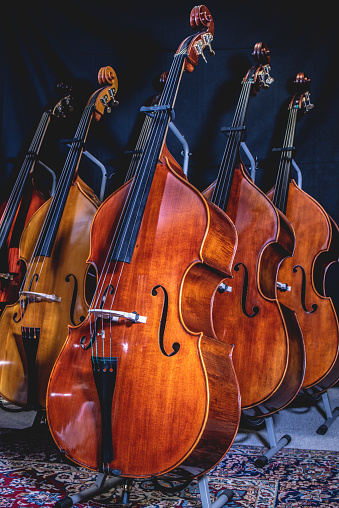 A row of violins arranged neatly on a stand in a room.
