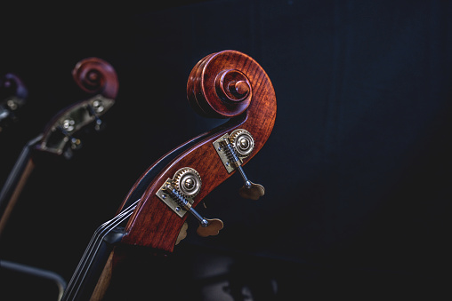 Professional high-resolution stock photograph of a musical instrument - a violin - featuring its strings and the back of its head on a dark background