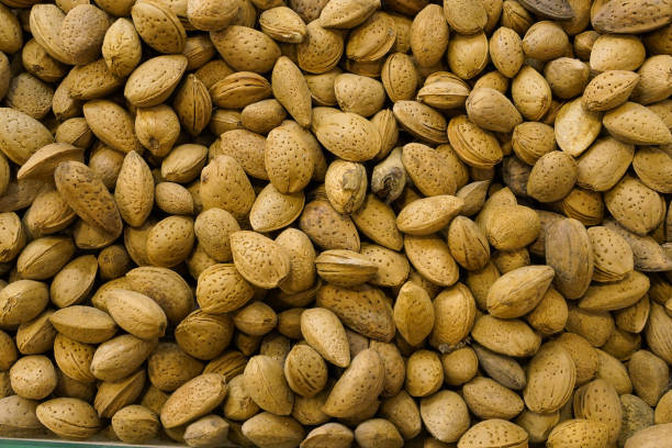 Close-up shot of shelled almonds on the market shelf