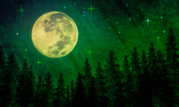 istock Supermoon - Fantasy Full Moon and Evergreen Forest - Atmospheric Mood 1917431998