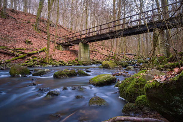 Long-term exposures of the stream in the Holzbach valley in the Westerwald/Germany in early spring