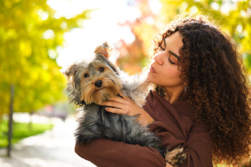 Young Caucasian woman holding her Yorkshire Terrier dog at street in Autumn.